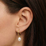 Close-up side view of a model wearing small gold pearl hoop earrings, featuring a dainty 18K gold–plated hoop with a single white freshwater pearl drop. Designed for women seeking minimalist pearl jewellery, these lightweight hoop earrings offer an elegant solution for everyday wear, bridal styling, or refined occasions, adding softness and movement without overpowering the ear. Ideal for those wanting timeless gold earrings that elevate simple outfits while remaining comfortable and versatile.
