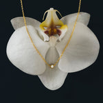 A gold vermeil necklace with a dainty white cubic zirconia stone on a thin rolo chain, displayed on a white orchid.
