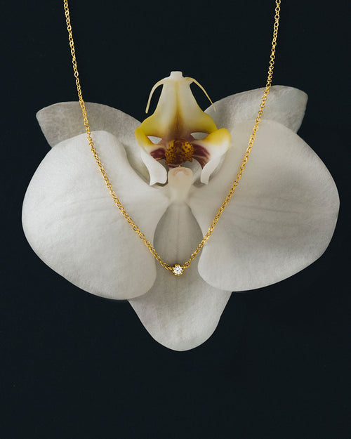A gold vermeil necklace with a dainty white cubic zirconia stone on a thin rolo chain, displayed on a white orchid.